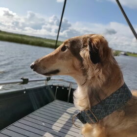 Lekker om zich heen kijken op de boot