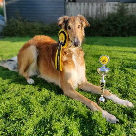 11 maanden oud en Junior Best in Show gewonnen!