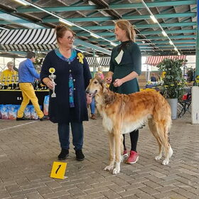 KC Sneek Clubmatch Junior Best in Show gewonnen!