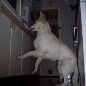 Ja....betrapt