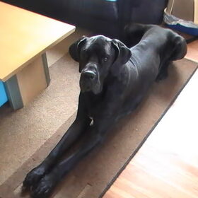 Bailey standbeeld.