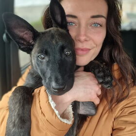 Hondenfoto van Dutchshepherdteam 