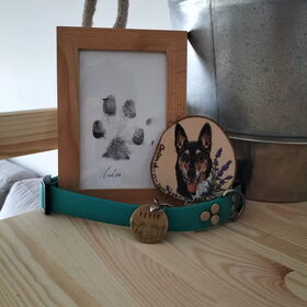 Hondenfoto van Aedon & Senán 