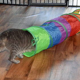 Een kattentunnel, Nemo kan hem waarderen.