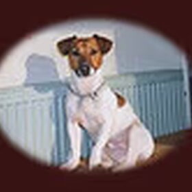 SPARKY als jonkie!!