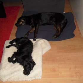 Een zaterdagavond in huize Falkor&Joy. Zaterdag is…