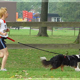 Luna behaalde ZILVER op het Belgisch Kampioenschap Canicross in…