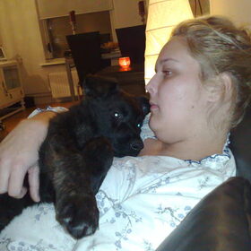 Lief he?