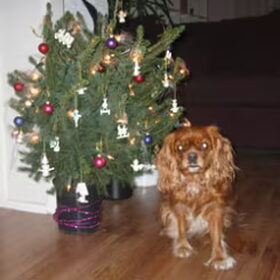 Jingle Bells