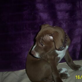 jaaaa snoepjessss