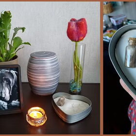 Gisteren, donderdag 19 maart, is Mellow weer thuis gekomen. Ze…