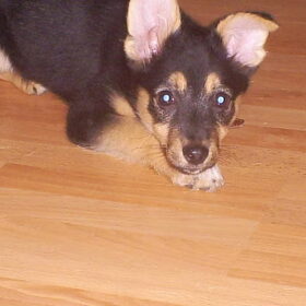 Is ze niet Schattig ;)
