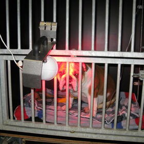 amber net na de operatie bij de lamp en aan het infuus