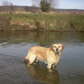 grootste hobby