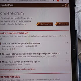 Hondenfoto van Ineke2