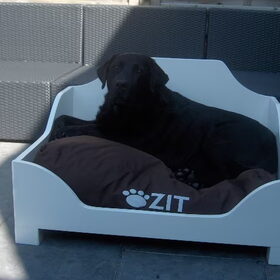 Mooi he een echte sofa heeft mijn baasje gekocht op internet