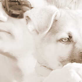 Hondenfoto van Sharon & Bink