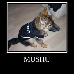 Hondenfoto van ~~Michelle&Mushu~~