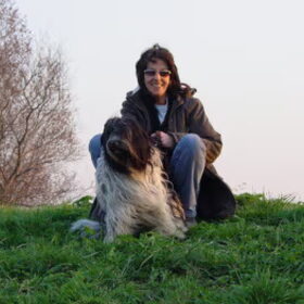 Hondenfoto van sjara "schapendoes"