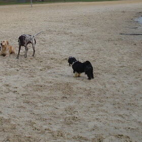 op het strand
