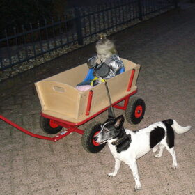 Fenna laat Flos uit...Als hij erg moe is, mag hij zelfs bij haar…