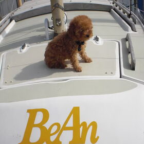 he toevalig heet mij boot ook zo