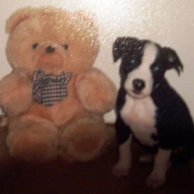 Foto van foto...een beetje veel glans, maar het gaat om een…