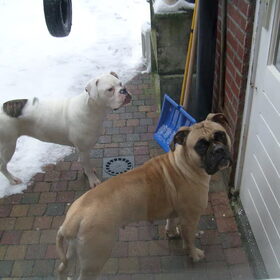 Lady en babe buiten in de tuin.