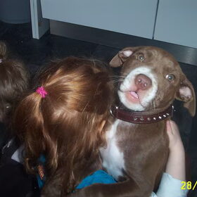 Onze lieve schat