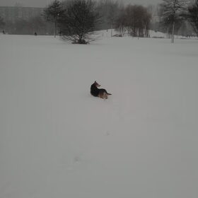 chica in sneeuw 1