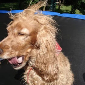 Op een luie zomerdag (;