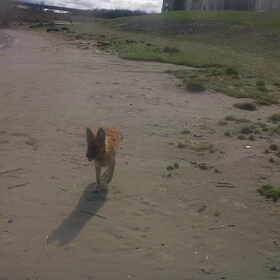 Voor het eerst naar het strand