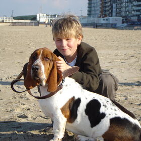 een dagje aan zee en de hond mag mee