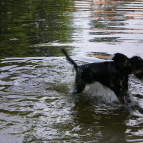 Lekker pootje baden