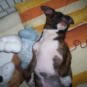 ff chillen 26-3-2010