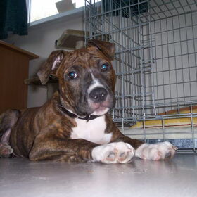 Onze bink! 2-4-2010