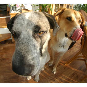 Samen in de groothoeklens...