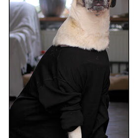 Kira in een Tshirt, moet dat nou? ;-)