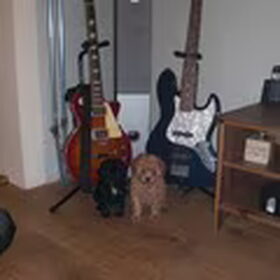 nee hoor wij kunnnen geen gitaar spelen haaaaaaa
