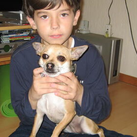 Ryan met Bambi , de chi van angelique