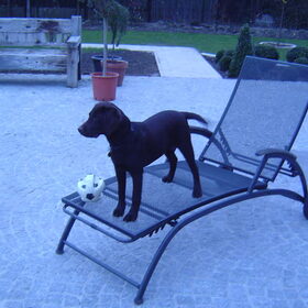Zo zie ik de hele tuin!!!