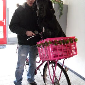 yue in de fietsmand
