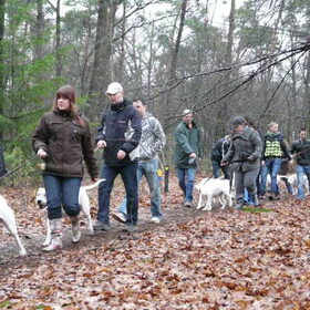 Dogo wandeling maart 2010