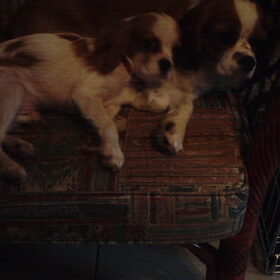 ziehier onze fleur en snoopy