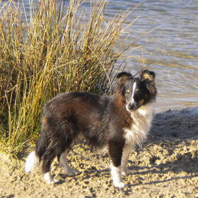 Langs het water beginnen we dan weer aan onze terug weg ...