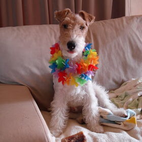 Morris alweer 1 jaar oud!!!