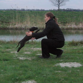 chyva springt in mijn armen