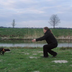 Hondenfoto van priscilla & C.S.C