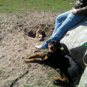 Bink en kleine Fee.