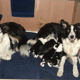 De familie :-)